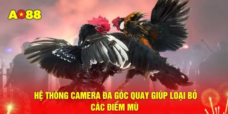 Hệ thống camera đa góc quay giúp loại bỏ các điểm mù 