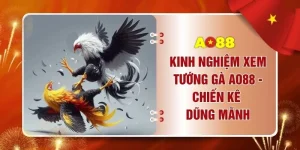 Kinh Nghiệm Xem Tướng Gà AO88 - Chiến Kê Dũng Mãnh